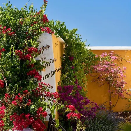 Cortijo De Las Piletas Country house Antequera